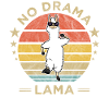 Jogging No Drama Llama Alpaca Vintage Retro Gift