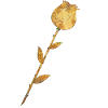 Fleur rose dorée