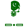 Pakistan skull design / gift
