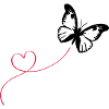 butterfly love