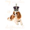 my cavalier is different