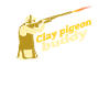 Clay pigeon shooting shotgun