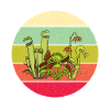 Carnivorous Plant Venus Flytrap