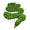 Snake anaconda