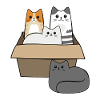 Cats in a Box