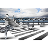 Zebra crossing
