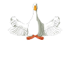 Meditating Duck