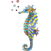 Seahorse