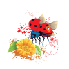 Modschegiebchen ostdeutsch Marienkäfer Sachsen