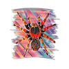 Tarantula