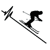skieur ski ekg ski