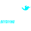 Fallschirm Evolution Design / Geschenkidee
