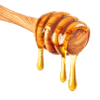 honey
