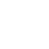 Flying raven