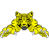 Tiger Attack