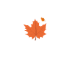 Automne automne