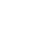 E-Auto