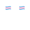 Transgender rights transsexual