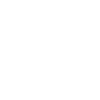 E-Auto