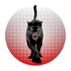 Sort Cougar schwarzer Panther CB Kat Sort