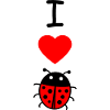 Ladybug