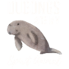 Dugongs Are My Spirit Animal