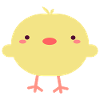 the chick