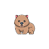 Wombat Squad