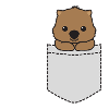Poche Wombat