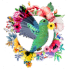 Colibri fleurs fleurs bouquet