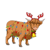 Weihnachten Highland Kuh Geschenk Weihnachtskuh