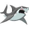 Requin poisson mer