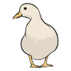 Goose