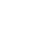 Dinosaur