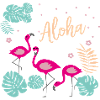 Flamingos - Aloha