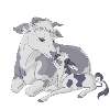 Vache et veau