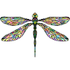 Libellule