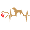 boxer dog heartbeat