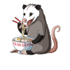 Opossum Eats Ramen Noodles