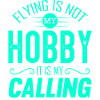 Airplane aviator flying
