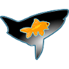 poisson rouge et requin