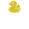 Maître-nageur canard grincement