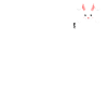 Lapin en poche avec label