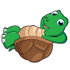 Turtle Chilling