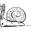 2020 08 30 snail 06 black white