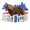 Islandpferd mit Fahne und Pferd