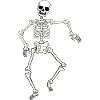 skeleton
