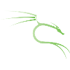 Kali Linux Dragon