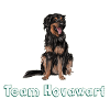 Team hovawart