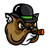 buldog